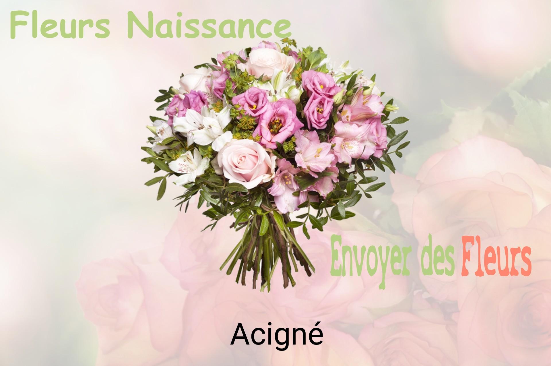 Bouquet de fleurs de naissance livré à Acigné